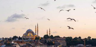Turkey Travel Tips
