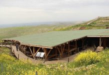 How to Get to Göbeklitepe